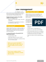 Transition Cow Management: Factsheet 8
