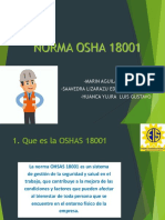 Norma Osha - Grupo 6-Sma100