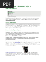 Medial Knee Ligament Injury Rehabilitation