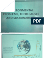 Environmental Problems, Their Causes and Sustainability