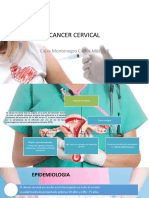 Cajas Montenegro Carlos Michaell - Cancer de Cervix y Endometrio