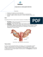 Principais componentes do sistema genital feminino