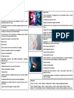 Sangrado Uterino Anormal