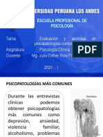 Evaluaciones Psicopatologicas