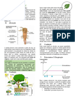 Macro X Micronutrientes