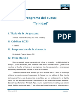 Programa Del Curso - Trinidad