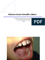 Interaccion Esmalte-Saliva