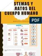 Sistemas y aparatos del cuerpo humano