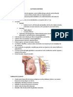 Lactancia materna: anatomía, fisiología y beneficios