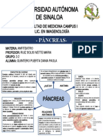 PANCREAS