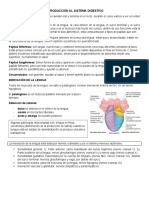 Introducción Al Sistema Digestivo