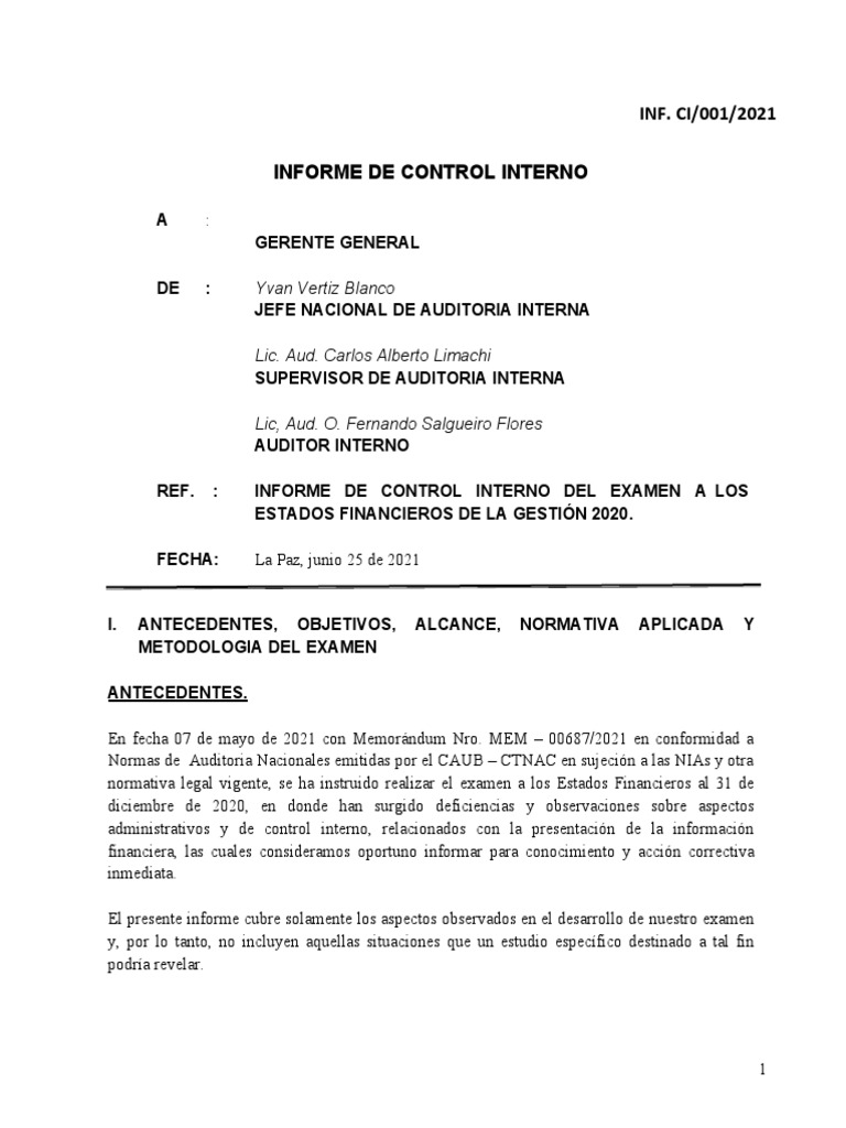 Modelo Informe de Control Interno Eeff 2020 | PDF | Auditoría ...