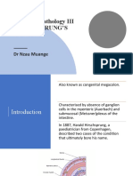 Intestinal Pathology III Hirschsprung'S Disease: DR Nzau Muange