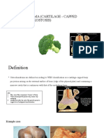 Osteochondroma (Cartilage - Capped Exostosis)