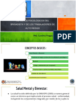 Presentación de Conceptos Determinantes de La Salud - FC Riesgo-Protección - Secuelas