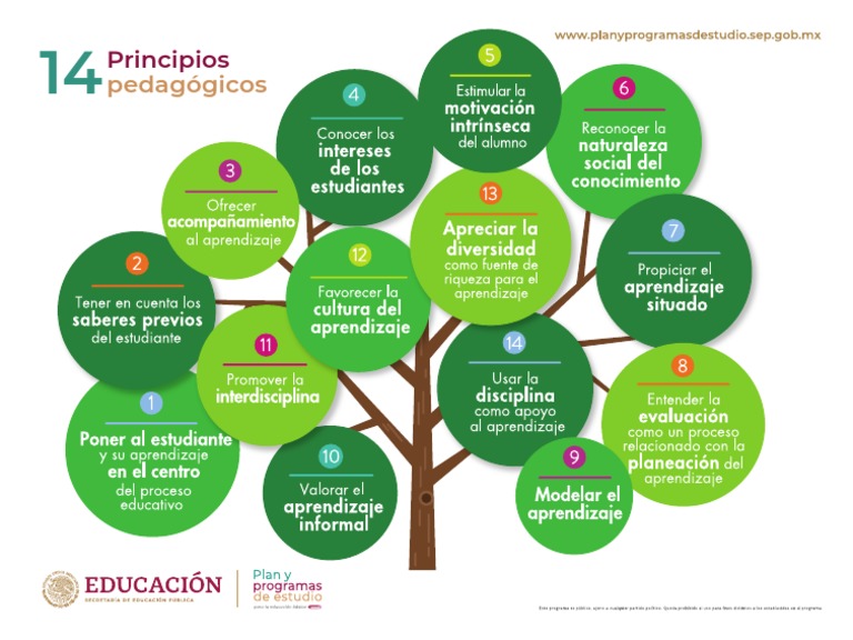 Aprendizajes Clave 2017 - Principios Pedagogicos | PDF