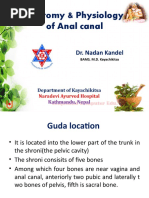 Anatomy & Physiology of Anal Canal: Dr. Nadan Kandel