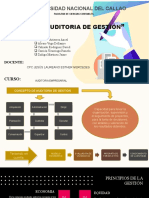 Auditoria de Gestion