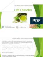 Crema Cannabis