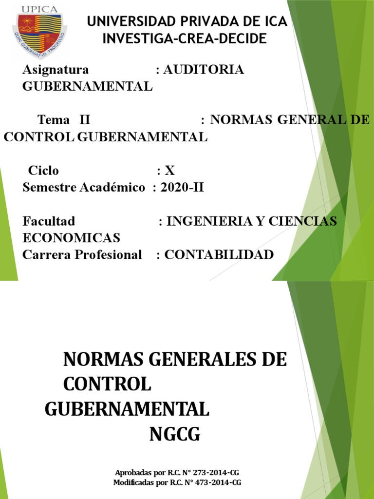 Normas de Control Gubernamental | PDF | Auditoría | Contralor
