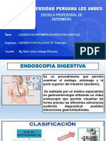 Endoscopia Digestiva