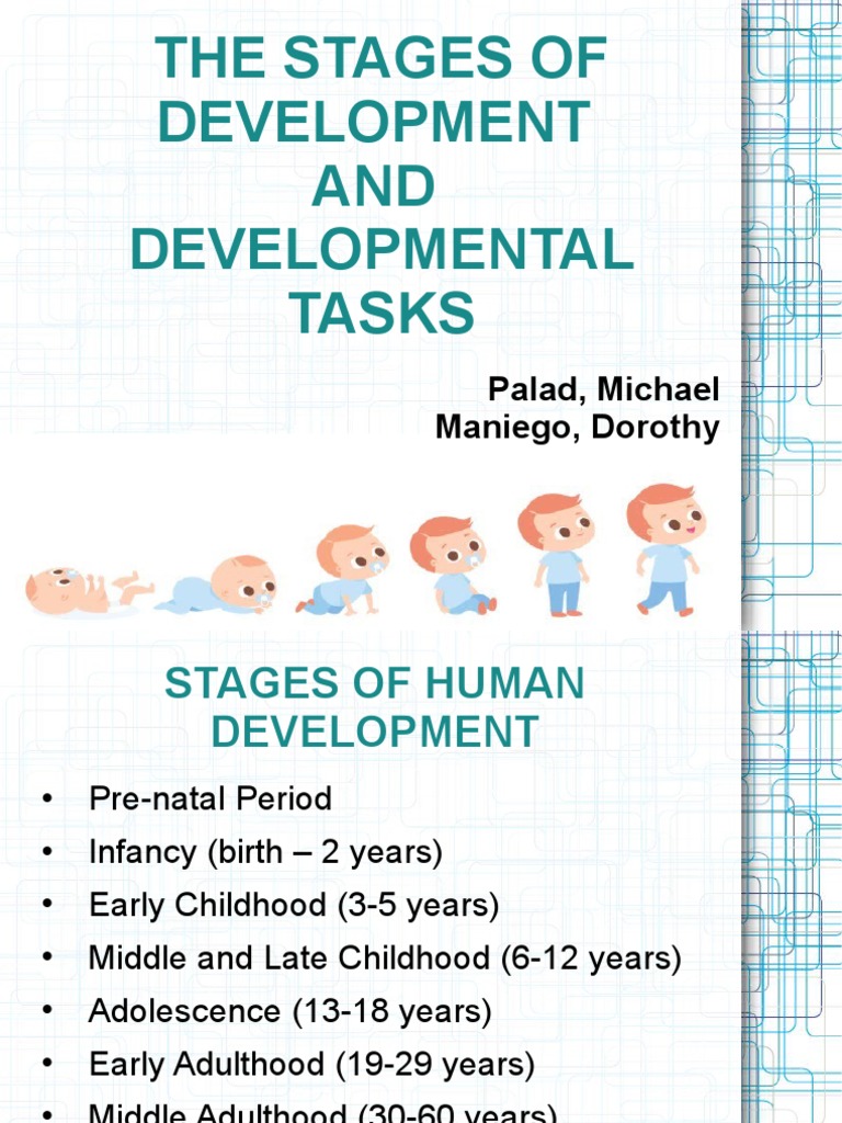 The Stages of Development | PDF | Human Development | Childhood