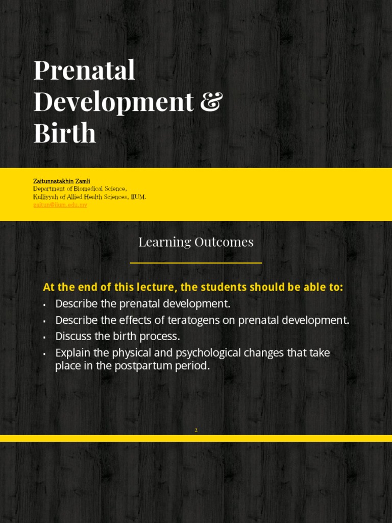 Prenatal Development and Birth Overview | PDF | Prenatal Development ...
