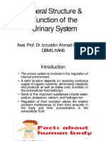 General Structure and Functions of Urinary System-Week 11