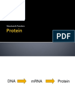 AHBS 1315 Week 5 Amino Acids