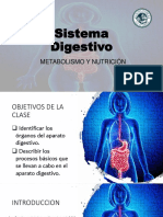 04 Clase PFH Sistema Digestivo