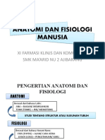 2. Anatomi_dan_fisiologi