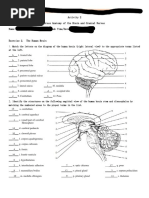 MT13 Clinical Anatomy and Physiology For Med Lab Science Laboratory Worksheet - SU - ICLS