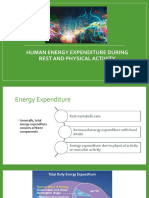 Human Energy Expenditure During Rest and Physical Activity