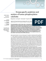 2013 - PSEA - Kinase-Specific Prediction and Analysis of Human Phosphorylation Substrates
