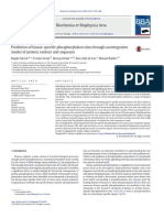 2016 - Prediction of Kinase-Specific Phosphorylation Sites Through An Integrative Model of Protein Context and Sequence