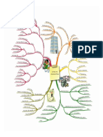 Mind Map 1 - Intro To Accounting