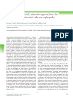 Alternative Approaches To The Assessment and Treatment of Ischemic Nephropathy