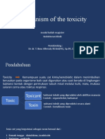 Mechanism of The Toxicity