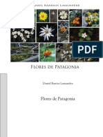 Danbat - Flores de Patagonia