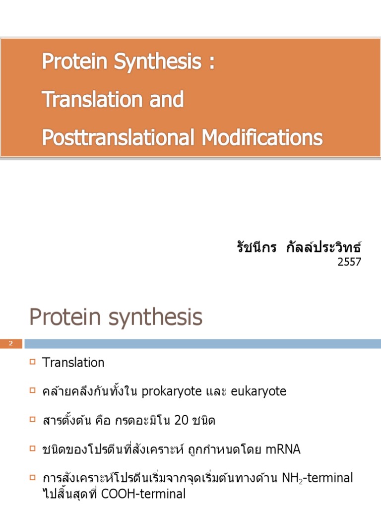 อ.รัชนีกร Protein synthesis 2557 Handout PDF