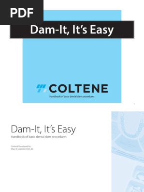 doctmdam-it-it-s-easy-finalsenaindv1
