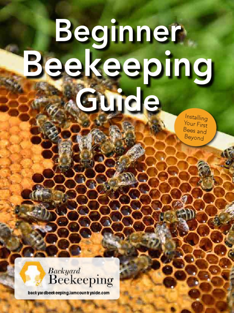Beginner's Guide to Installing Bees | PDF | Beekeeping | Beehive