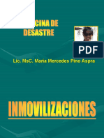 Inmovilizaciones