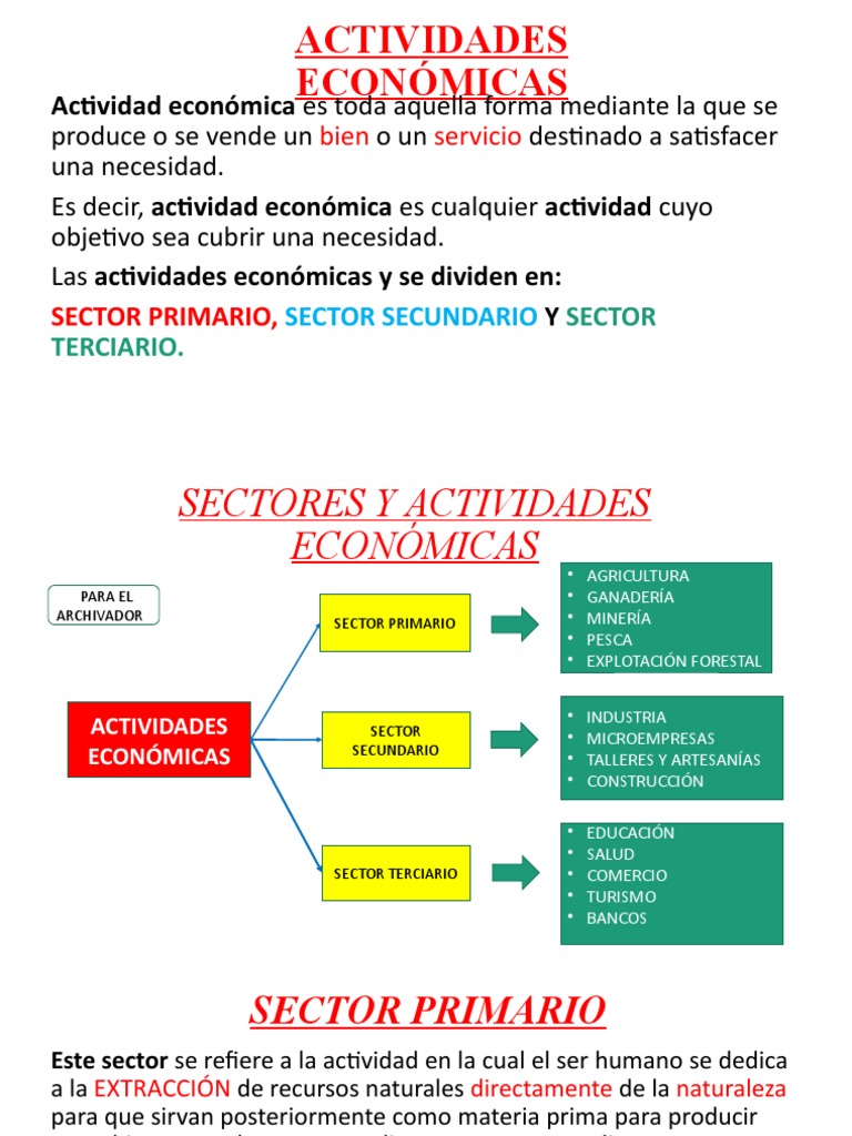 Actividades Económicas por Sectores | PDF | Sector terciario de la ...