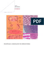 Guía Práctica de Histología Parte 2