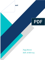 Risk Assessment Framework: Popy Biswas Roll: 18 SES 024