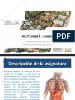 Clase 00 ¿Qué Es La Anatomia - DMOR0003