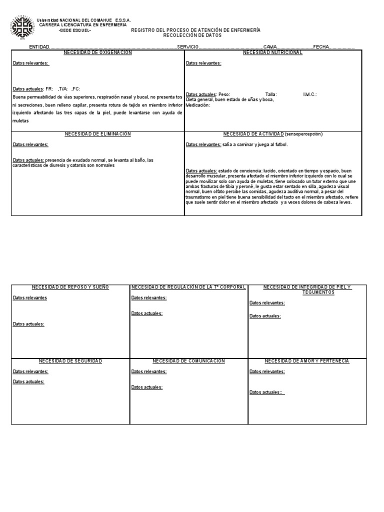 Formato PAE para Enfermería en Word | PDF | Enfermería | Medicina