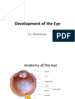 Development of The Eye-1-1