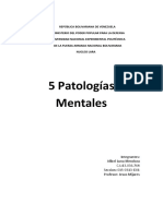 5 Patologias